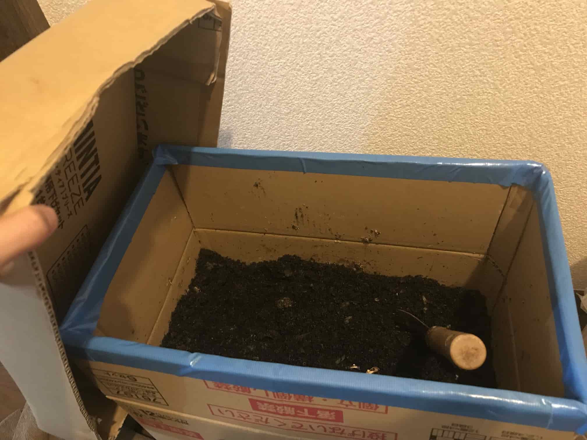 フタをはずしたところ