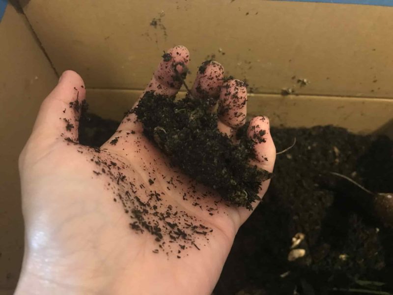 水分量を調べる