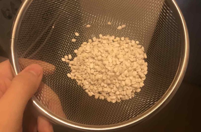 ハトムギを洗う