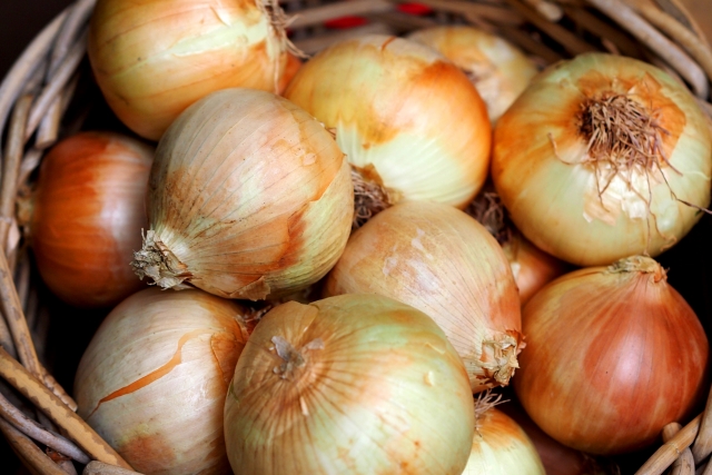 玉ねぎ