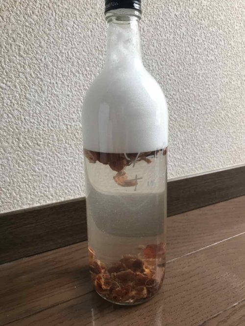 泡立たせてみた