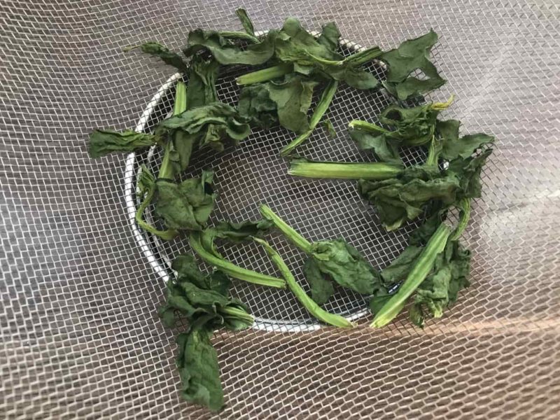 パリパリに干した時