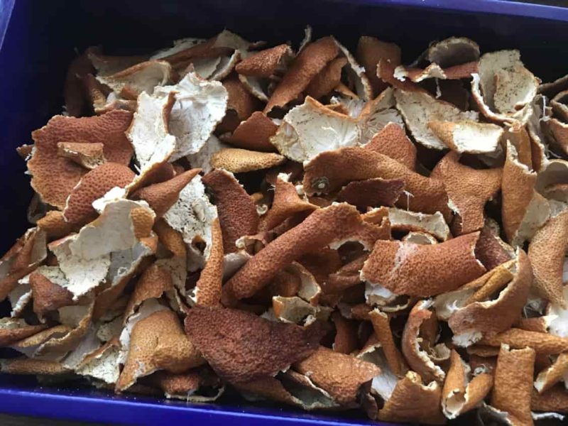 乾燥させたみかんの皮