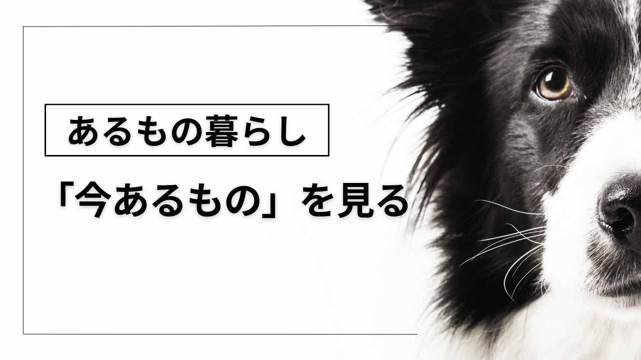 「今あるもの」を見る サムネイル