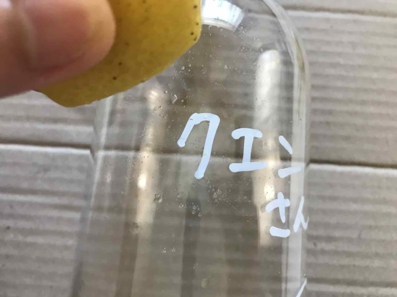 リモネンを飛ばす