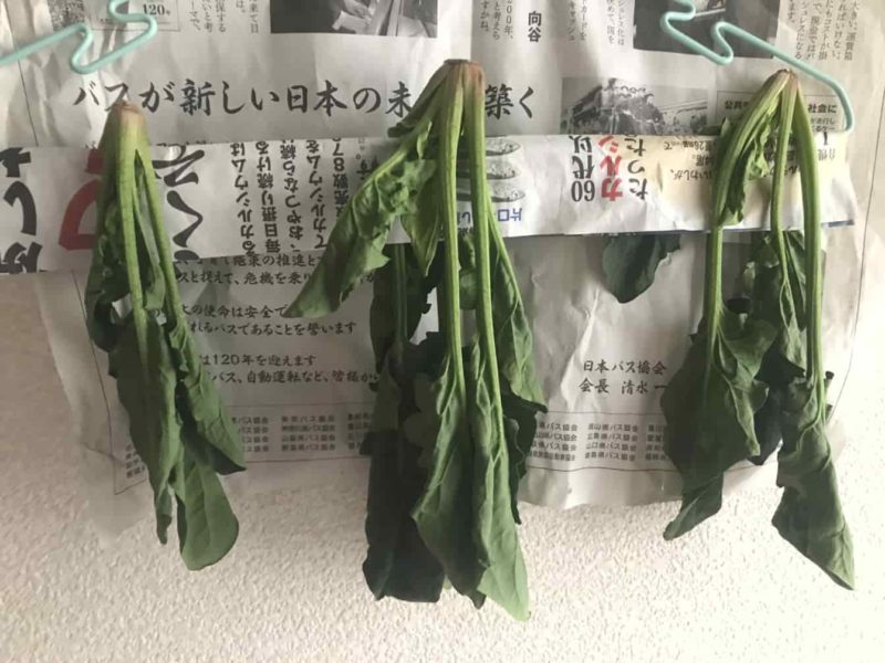 しなっとなったほうれん草