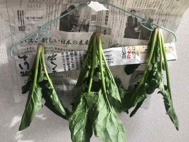 ハンガーで干す