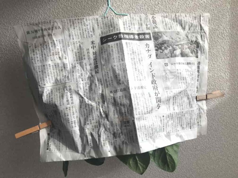 洗濯バサミでとめる