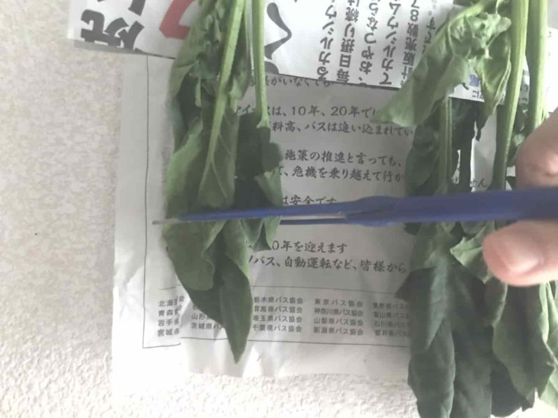 ハンガーのままカット