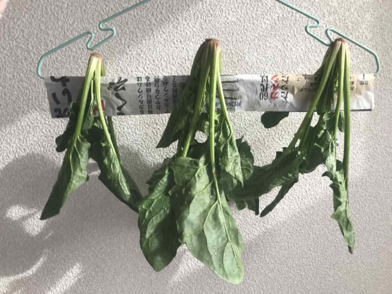 ほうれん草をかけたところ