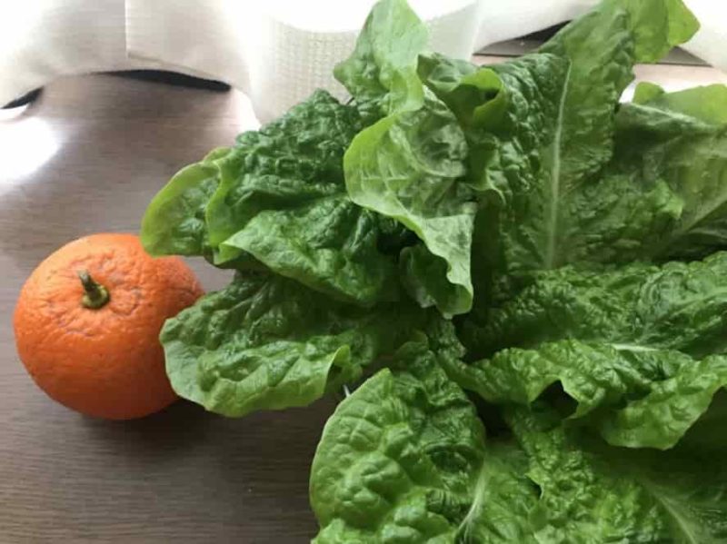 新鮮なサンチュと一緒にいただきました