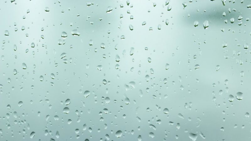 調湿作用もある